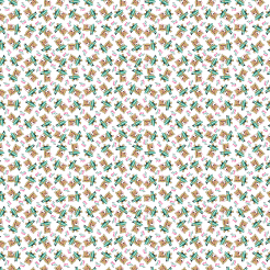 Surfing Cartoon Bear