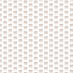 Chubby Little Hedgehog