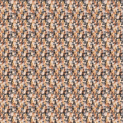 A Group Of Energetic Puppies