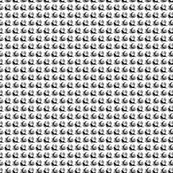 Mystical Symbols And Cats