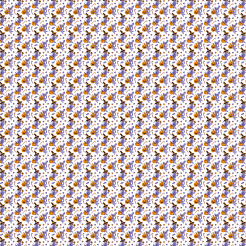 Ragdoll Cat And Pumpkin