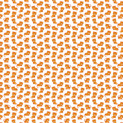 Cute Kitten Activities