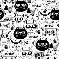 Funny Expression Cat Face