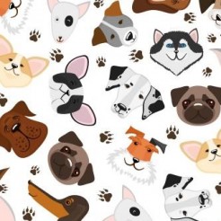 Serious And Cute Big-headed Do