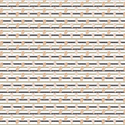 Playful Kitten Going To Work