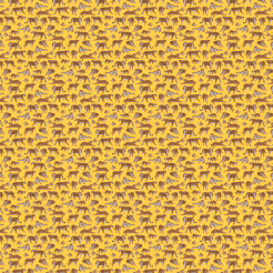 Tigers In Different Poses