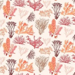 Beautiful Coral Seaweed