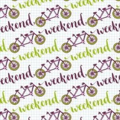 Weekend Tandem Bicycle