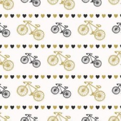 Double Center Bicycle