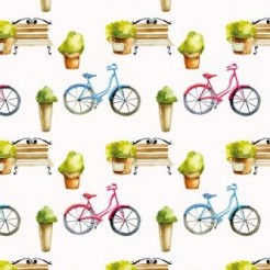 Benches And Bicycles
