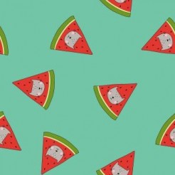Cat Face Shape Watermelon
