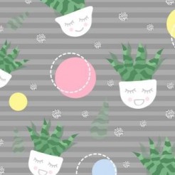 Closed Eyes Aloe Vera Potted P