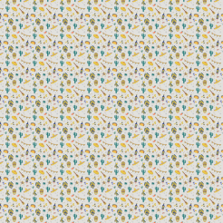 Mexican Skull Hat Cactus