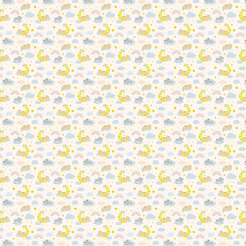 Cat Sleeping On The Moon