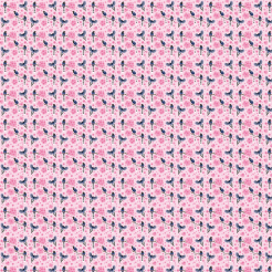 Rare Taiwan Blue Magpie