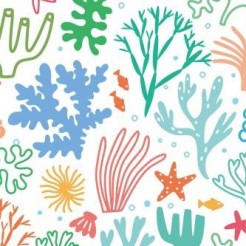 Colorful Underwater Corals