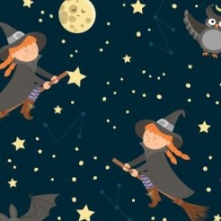 Full Moon Witch Owl