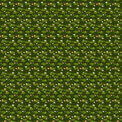 Lotus Flowers And Leaves