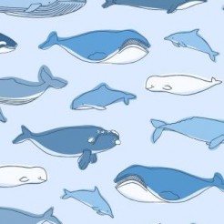 Simple Strokes Of Whale