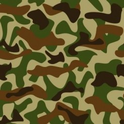 Basic Camouflage Pattern