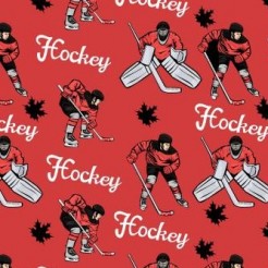 Handsome Canadian Hockey