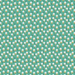 Small White Flowers In The Sno