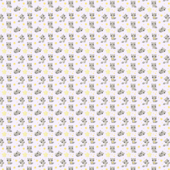 Cute Raccoon And Stars