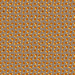 Flowers Blooming Everywhere