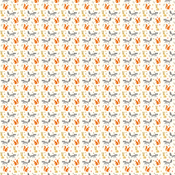 Cute Animals Living In The For