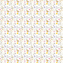 The Kitten Who Became Friends 