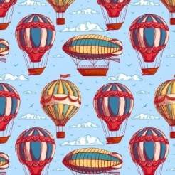 Hot Air Balloon And Flying Boa