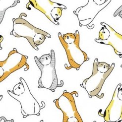 Lazy Tumbling Kitten