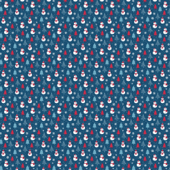 Winter Snowman And Christmas T