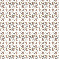 Footprints Left By Baby Dinosa