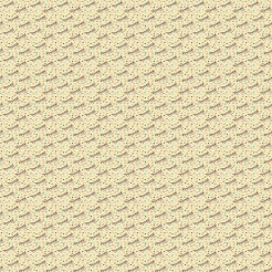 Happy Raccoon Running