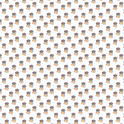 Bird Wearing Indian Chief Hat