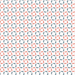 Funny Two-toned Wolf