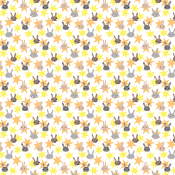 Bunny And Full Of Stars