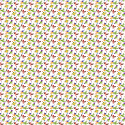 Colorful Hummingbird Flying