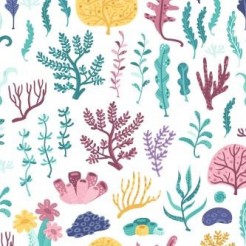Coral And Seaweed