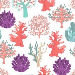 Beautiful Coral Reef