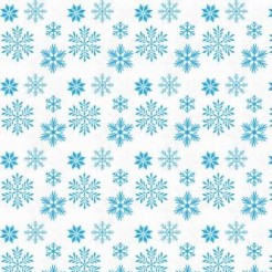 Snowflakes Are Flying
