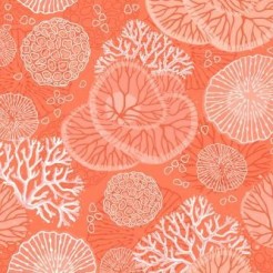 Gorgeous Coral Sea