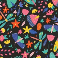 Colorful Butterfly Dragonfly