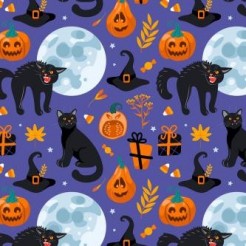 Fierce Black Cat In Witch Hat