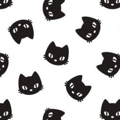 Serious Little Black Cat