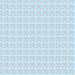 Cute Little Bear Eating Waterm