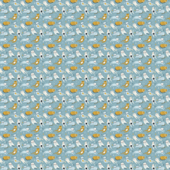 Cat Wearing Astronaut Helmet