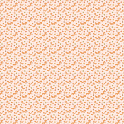 Big-eyed Fox Running In Autumn