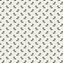 Playful Raccoon Holding A Flow